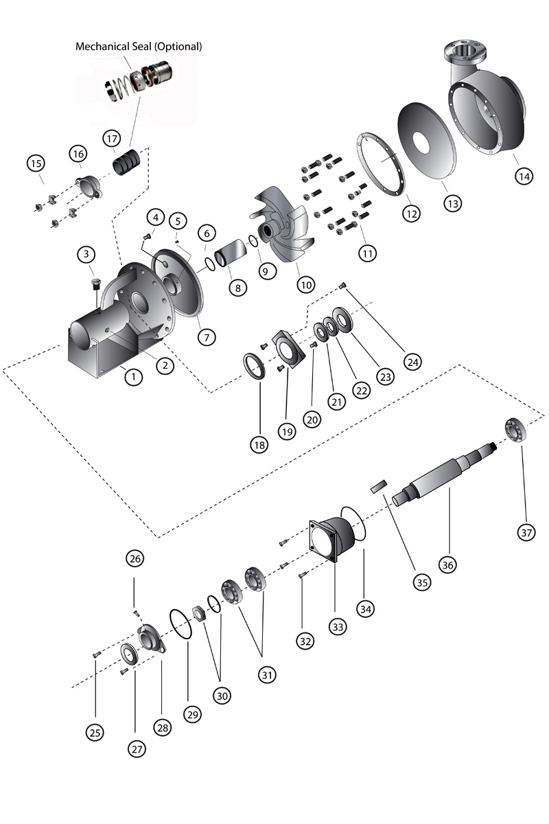 bronze product image 4